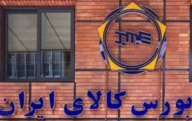 عرضه شبندر در بورس کالا