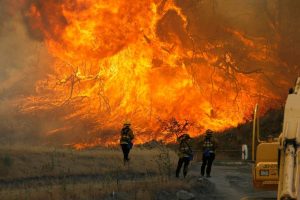 آتش تعرفه ها به خرمن کالیفرنیای امریکا