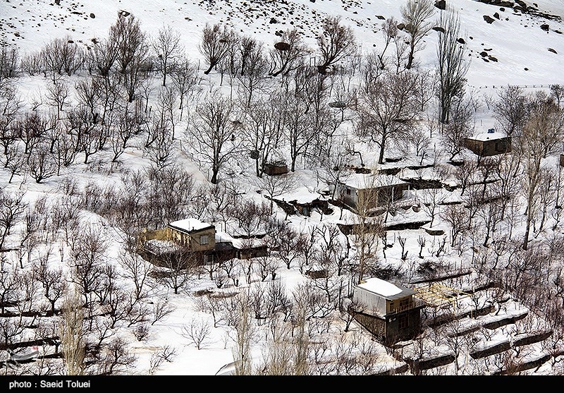 بارش برف در روستای لوجلی شیروان‌ - بورس امروز