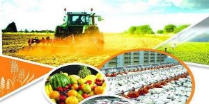 استقبال از معاملات محصولات کشاورزی در قالب گواهی سپرده