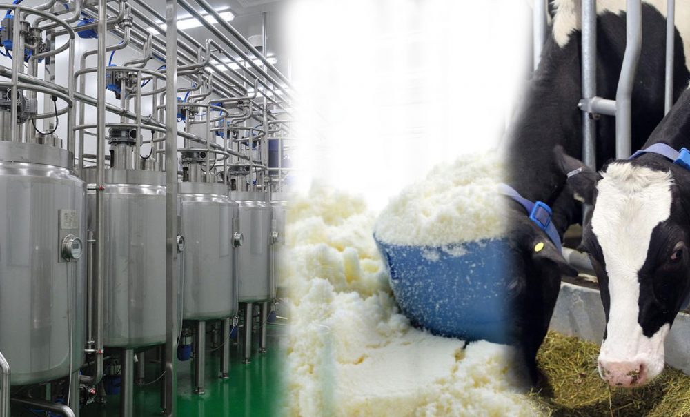 افزایش ۴۰۰ تومانی قیمت شیر خام شرکت لبنیات پاک
