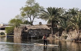 تالاب بینالمللی شادگان