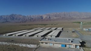 اهمیت صنعت طیور و جایگاه شرکت ماهان