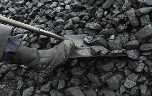 سیاهی بر قیمت زغال سنگ 