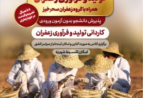 پذیرش دانشجو بدون آزمون در رشته تولید و فرآوری زعفران در مرکز علمی کاربردی سحرخیز