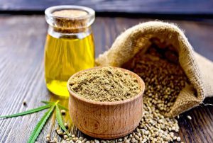 دانه های روغن با نرخ مصوب شورای قیمت گذاری خریداری می شود