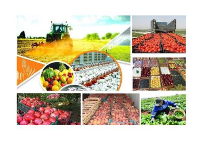 توثیق گواهی سپرده محصولات کشاورزی در بورس کالا