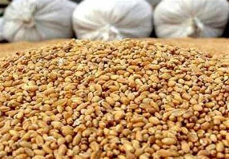 عرضه نهاده‌های دامی