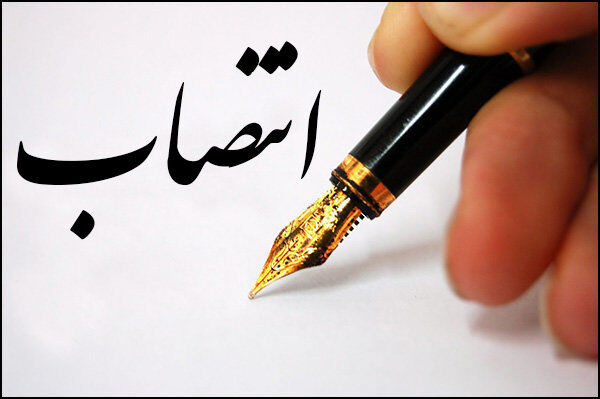 انتصاب اعضا