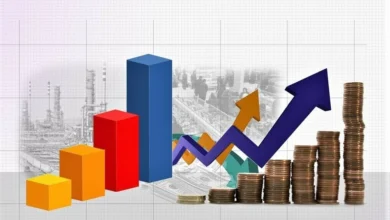  اقتصاد تورمی