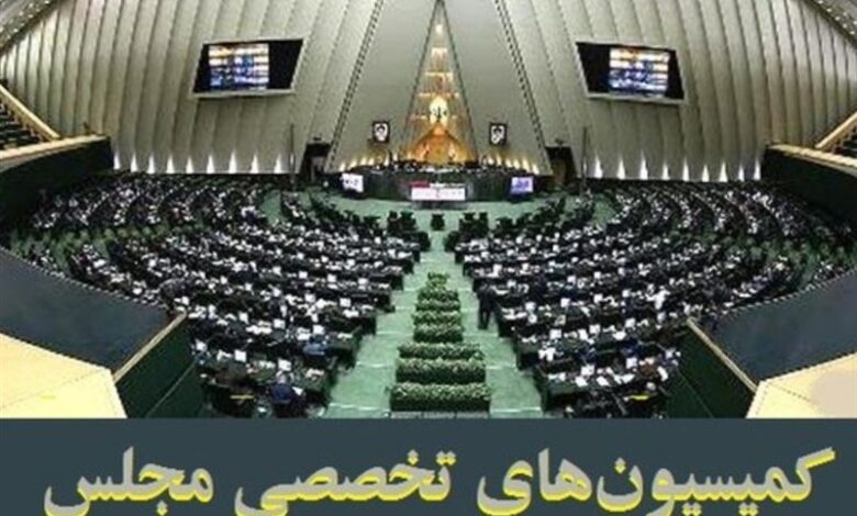 کمیسیون‌های تخصصی مجلس