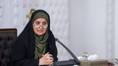 صادق: خدمات اربعین