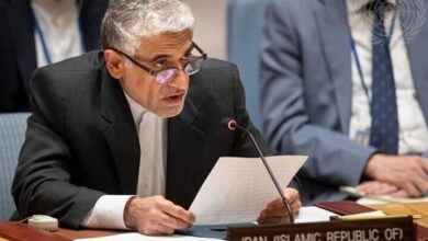 ایروانی: ایران در سازمان ملل