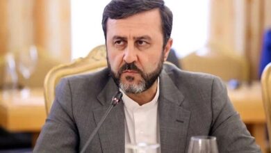 مواضع دیپلماسی