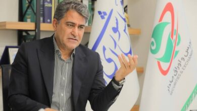 نجف‌زاده : تامین مالی بخش معدن از بازار