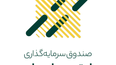 تأمین سرمایه لوتوس پارسیان