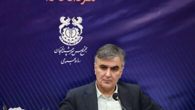 دکتر محمدرضا فرزین: رشد شتابان صنعت مس