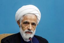 مجید انصاری: مخالفت دولت با طرح مجلس