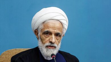 مجید انصاری: مخالفت دولت با طرح مجلس
