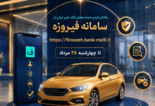 وکالتی‌ کردن خودروهای وارداتی