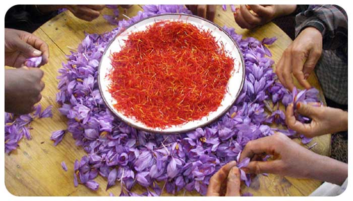 صندوق زعفران