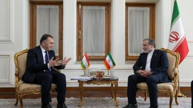 عرقچی: همکاری انرژی ایران تاجیکستان