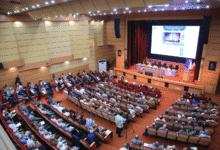 سود شتران