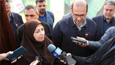 انصاری : پروژه ویندفنسینگ فولاد