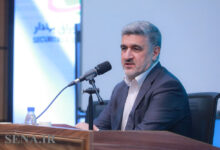 صیدی: دستکاری بازار سرمایه