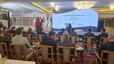 صندوق تضمین غیردولتی