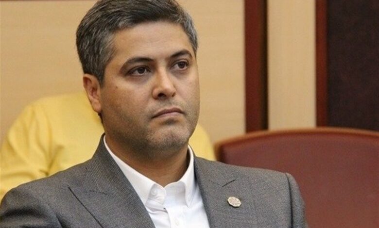 محمدی: صندوق توسعه ملی