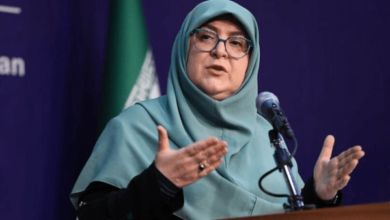 مهاجرانی: پیگیری منافع ملی