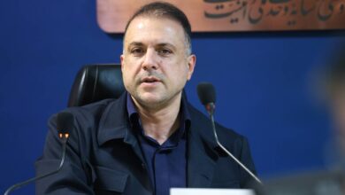 دکتر سیدمصطفی فیض :منابع زمین‌شناسی مس ایران