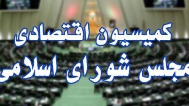 اختلالات سایبری بانکی در مجلس