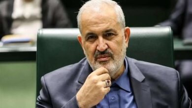 پایداری شبکه