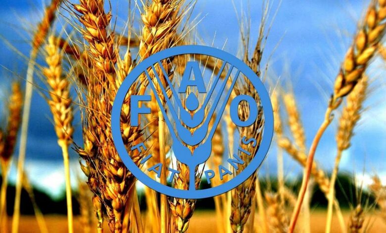 عرضه مواد غذایی