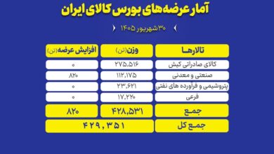 عرضه محصولات دربورس