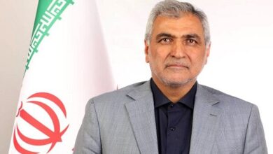تولید ملی