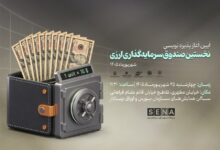 صندوق ارزی مانا