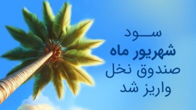 صندوق نخل خلیج