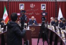مدنی زاده: صندوق تضمین غیردولتی