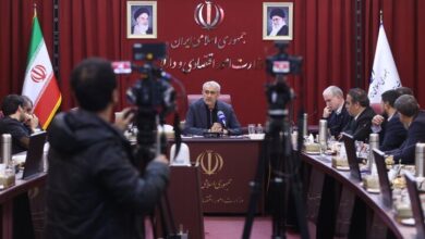 مدنی زاده: صندوق تضمین غیردولتی