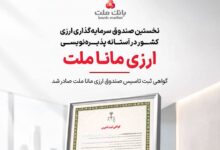 صندوق سرمایه‌گذاری ارزی