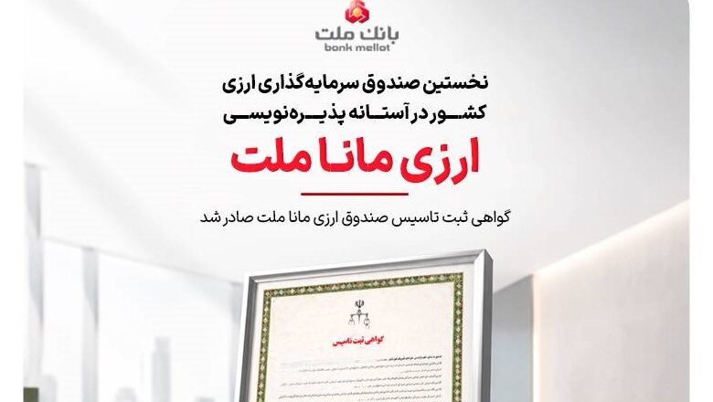 صندوق سرمایه‌گذاری ارزی