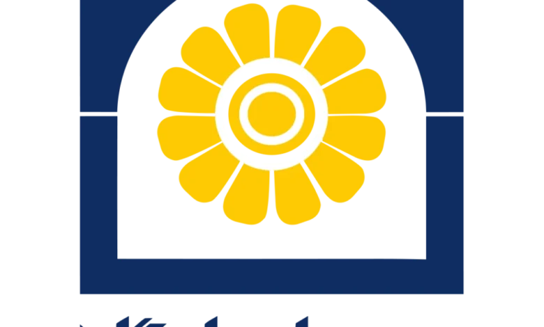 حق‌بیمه صادره بیمه پاسارگاد