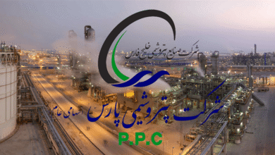 زنجیره ارزش پتروشیمی پارس