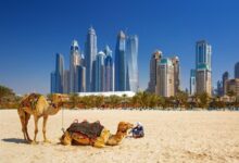 نفت خلیج فارس