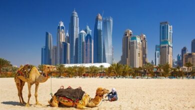 نفت خلیج فارس