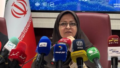 انصاری: افزایش استانداردهای خودرو