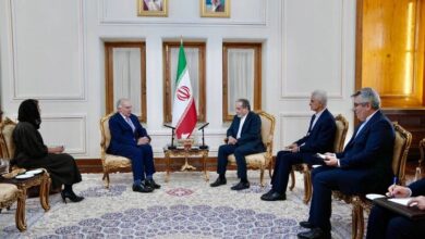 سازمان ملل